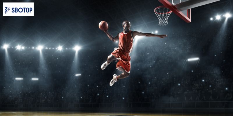 Hướng dẫn chi tiết cho người mới nhập môn