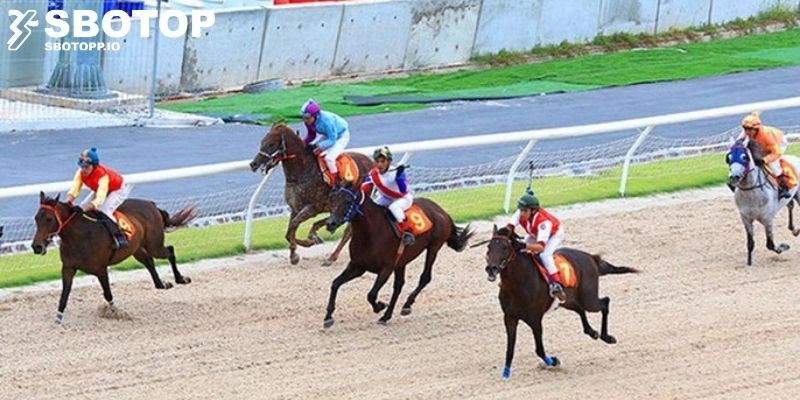 Kinh nghiệm tham gia đua ngựa ảo tại nhà cái