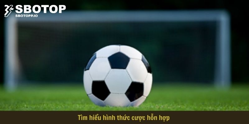 Tìm hiểu hình thức cược hỗn hợp combo